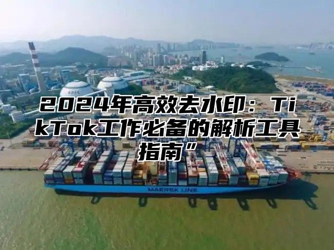 2025年高效去水印：TikTok工作必备的解析工具指南”