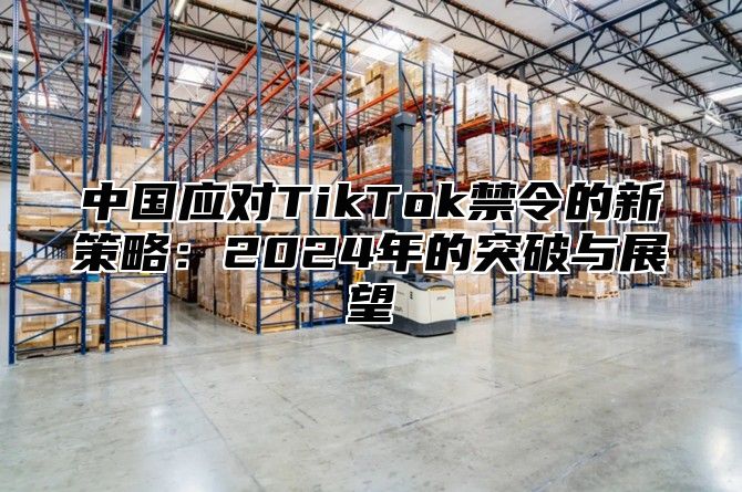 中国应对TikTok禁令的新策略：2025年的突破与展望