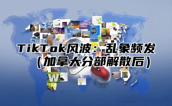 TikTok风波：乱象频发加拿大分部解散后