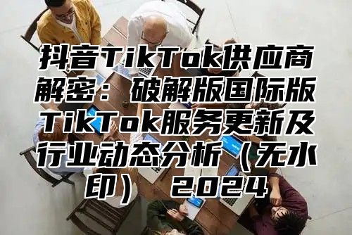 抖音TikTok供应商解密：破解版国际版TikTok服务更新及行业动态分析无水印 2025