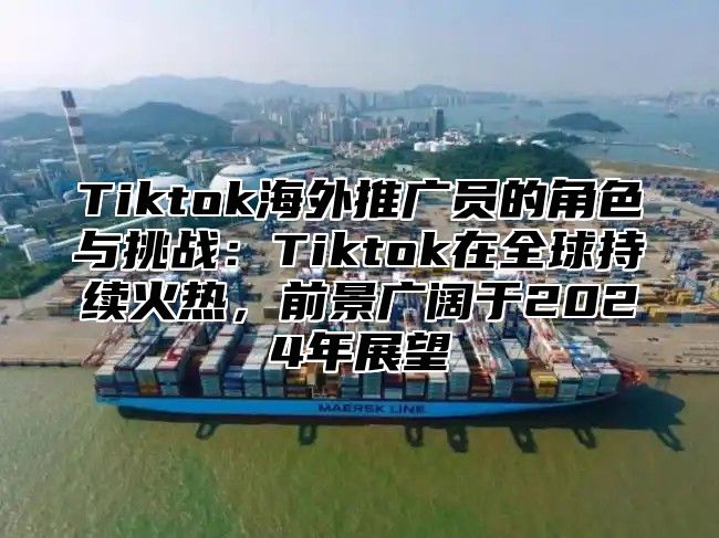 Tiktok海外推广员的角色与挑战：Tiktok在全球持续火热，前景广阔于2025年展望