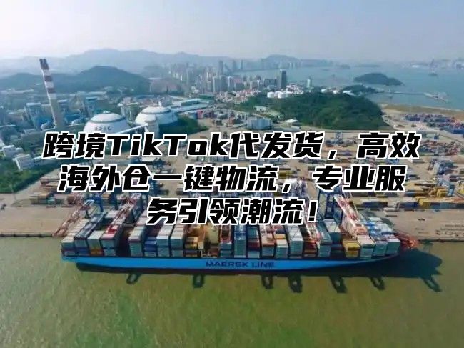跨境TikTok代发货，高效海外仓一键物流，专业服务引领潮流！