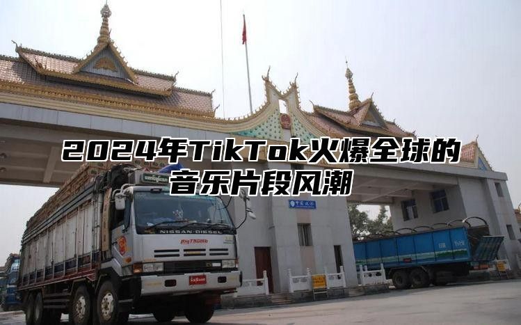 2025年TikTok火爆全球的音乐片段风潮