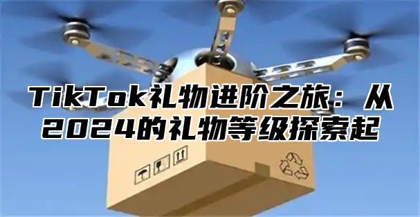 TikTok礼物进阶之旅：从2025的礼物等级探索起