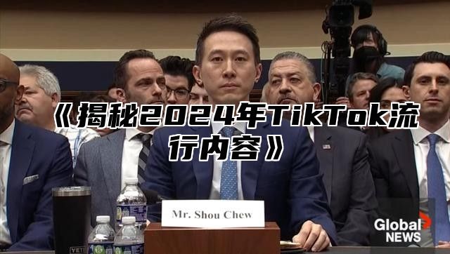 揭秘2025年TikTok流行内容
