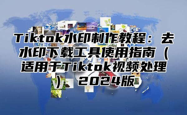 Tiktok水印制作教程：去水印下载工具使用指南适用于Tiktok视频处理 2025版