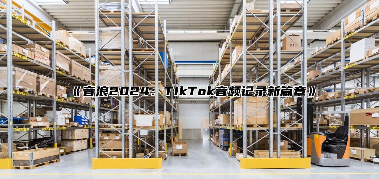 音浪2025TikTok音频记录新篇章