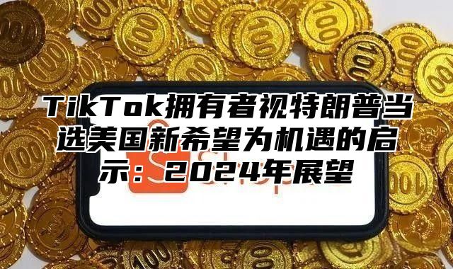 TikTok拥有者视特朗普当选美国新希望为机遇的启示：2025年展望
