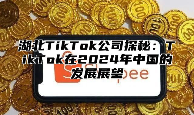 湖北TikTok公司探秘：TikTok在2025年中国的发展展望