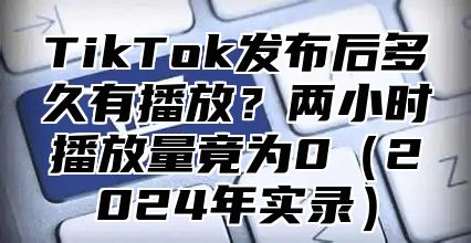 TikTok发布后多久有播放？两小时播放量竟为02025年实录