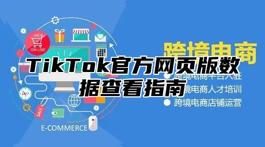 TikTok官方网页版数据查看指南