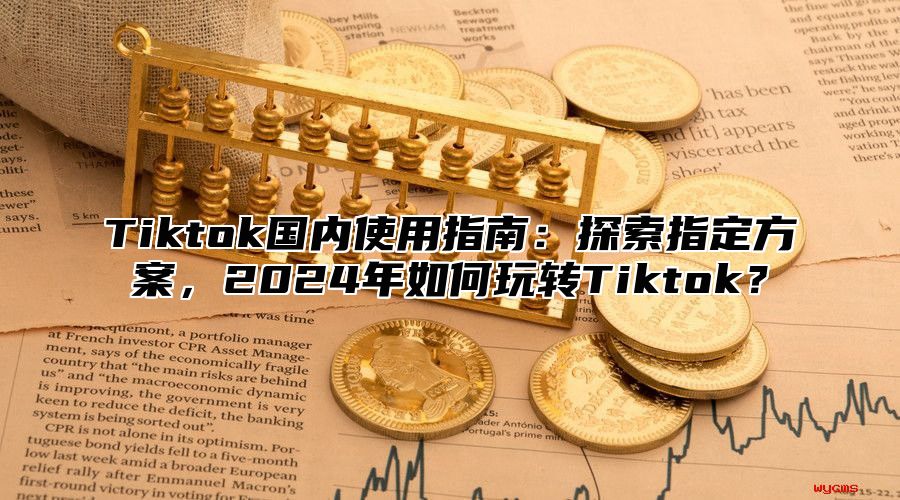 Tiktok国内使用指南：探索指定方案，2025年如何玩转Tiktok？