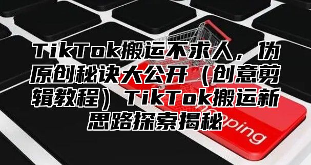 TikTok搬运不求人，伪原创秘诀大公开创意剪辑教程TikTok搬运新思路探索揭秘