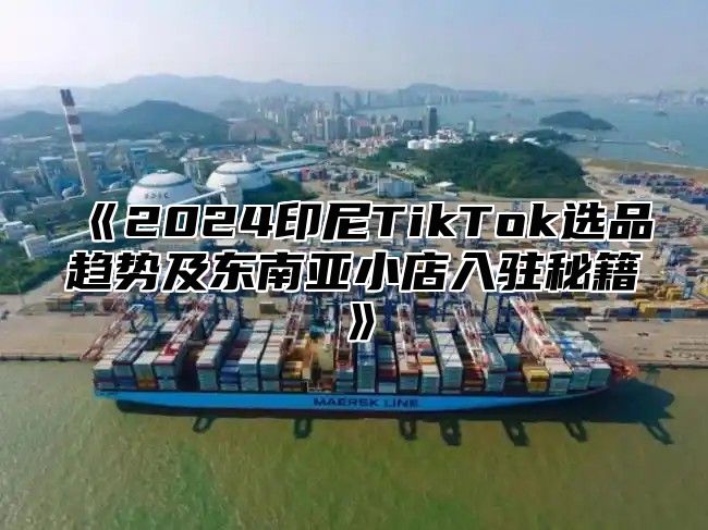 2025印尼TikTok选品趋势及东南亚小店入驻秘籍