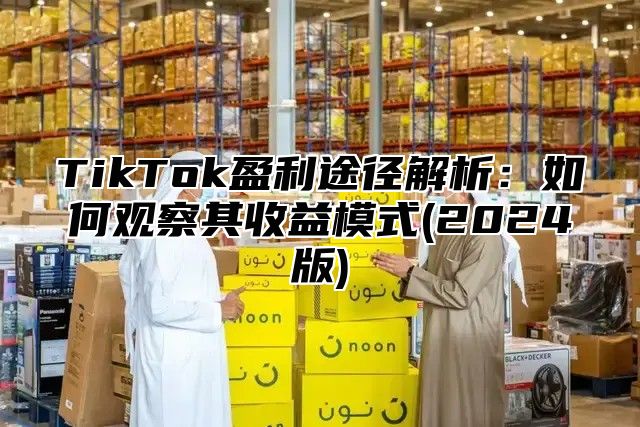 TikTok盈利途径解析：如何观察其收益模式(2025版)