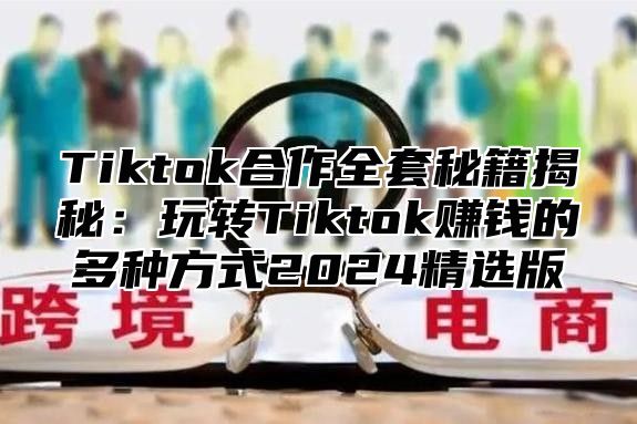 Tiktok合作全套秘籍揭秘：玩转Tiktok赚钱的多种方式2025精选版