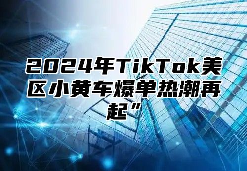 2025年TikTok美区小黄车爆单热潮再起”