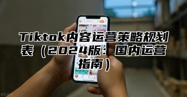 Tiktok内容运营策略规划表2025版：国内运营指南