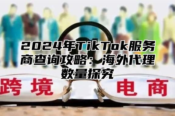 2025年TikTok服务商查询攻略：海外代理数量探究