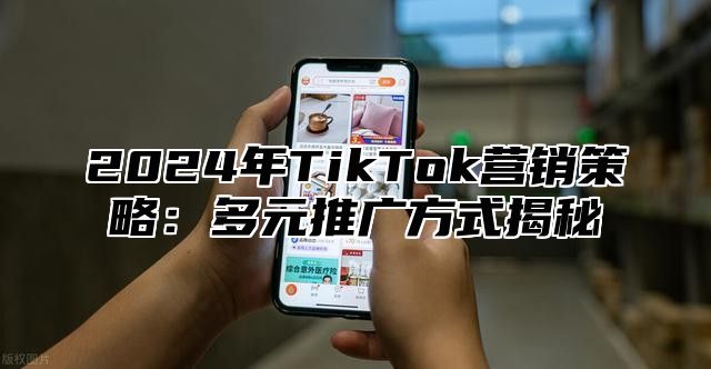 2025年TikTok营销策略：多元推广方式揭秘