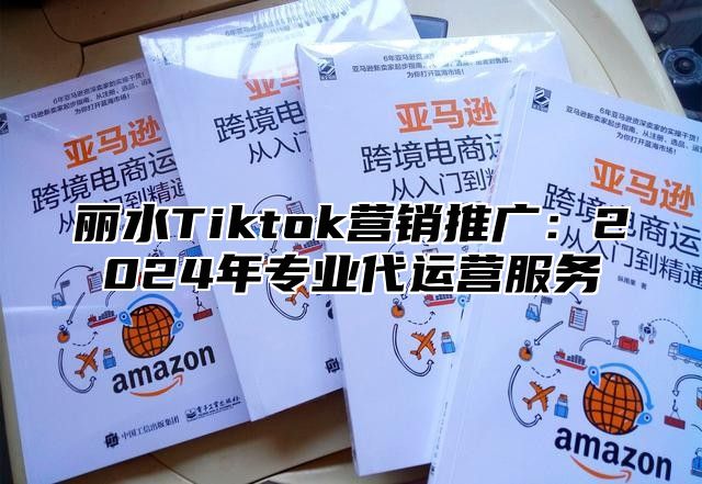 丽水Tiktok营销推广：2025年专业代运营服务