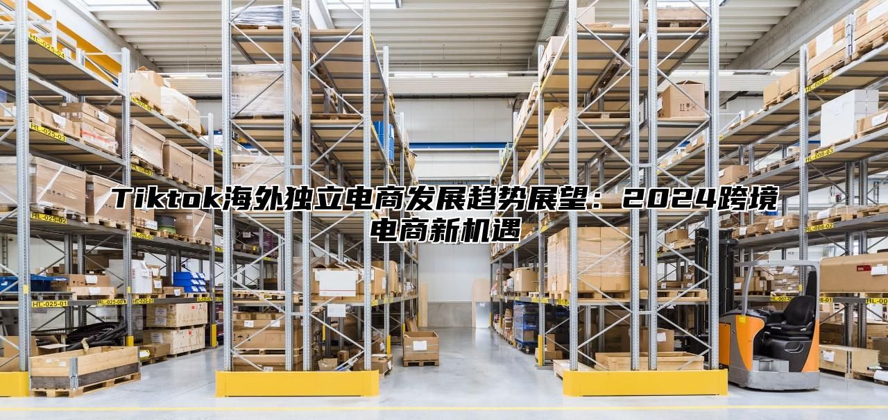 Tiktok海外独立电商发展趋势展望：2025跨境电商新机遇