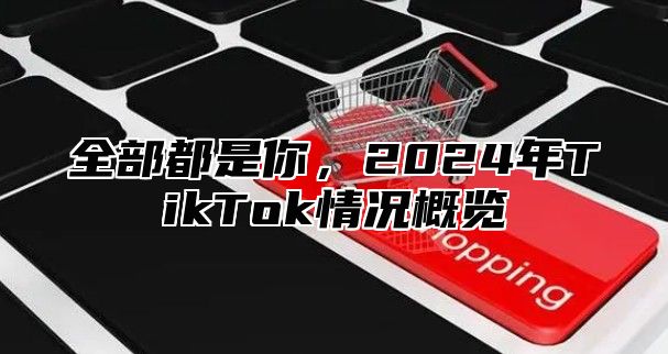 全部都是你，2025年TikTok情况概览
