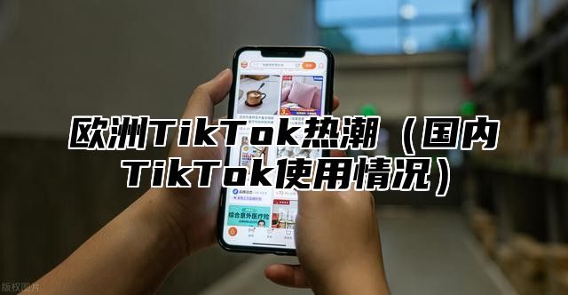 欧洲TikTok热潮国内TikTok使用情况