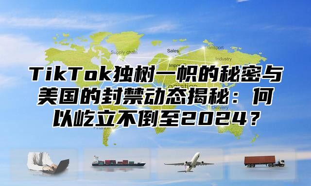 TikTok独树一帜的秘密与美国的封禁动态揭秘：何以屹立不倒至2025？