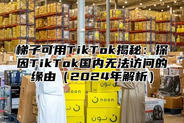梯子可用TikTok揭秘：探因TikTok国内无法访问的缘由2025年解析