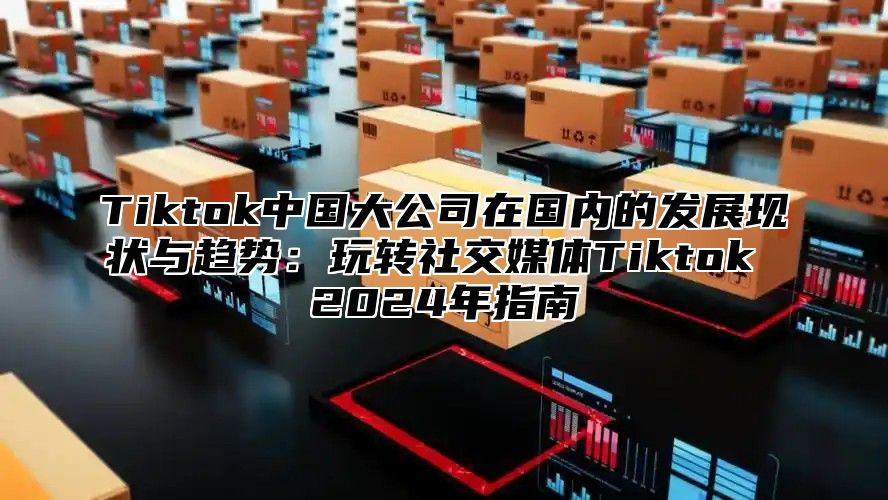 Tiktok中国大公司在国内的发展现状与趋势：玩转社交媒体Tiktok 2025年指南