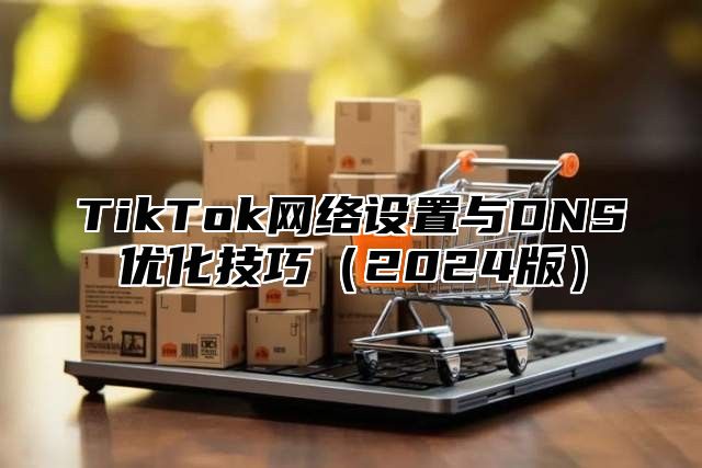 TikTok网络设置与DNS优化技巧2025版