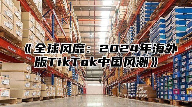 全球风靡：2025年海外版TikTok中国风潮