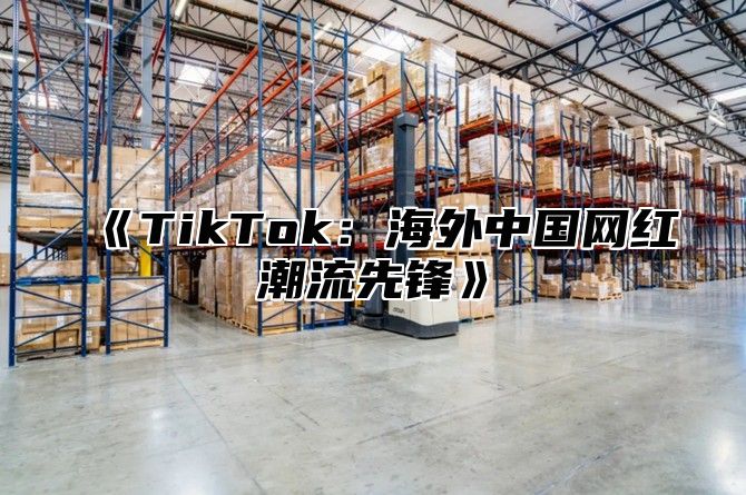 TikTok：海外中国网红潮流先锋