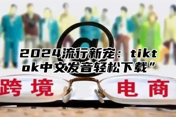 2025流行新宠：tiktok中文发音轻松下载”