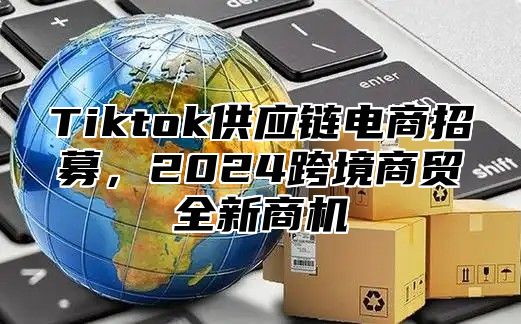 Tiktok供应链电商招募，2025跨境商贸全新商机