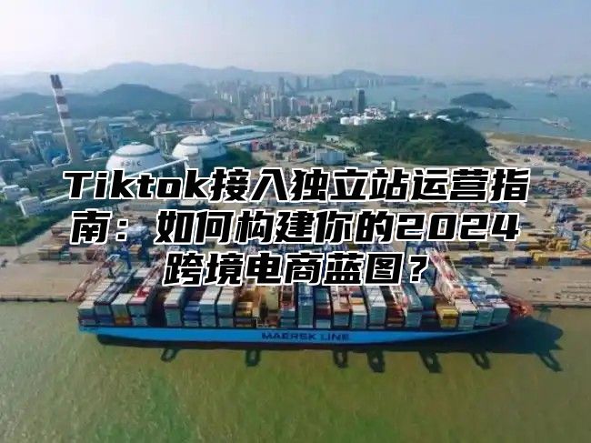 Tiktok接入独立站运营指南：如何构建你的2025跨境电商蓝图？