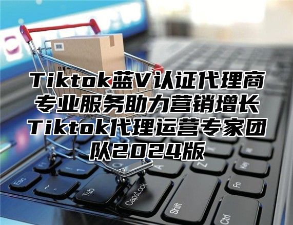 Tiktok蓝V认证代理商专业服务助力营销增长Tiktok代理运营专家团队2025版