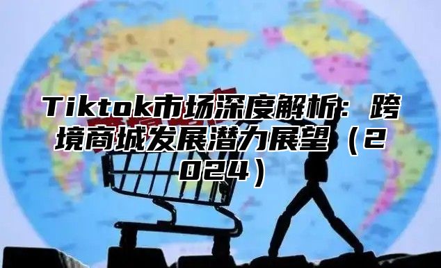 Tiktok市场深度解析：跨境商城发展潜力展望2025