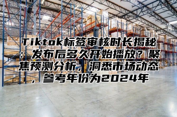 Tiktok标签审核时长揭秘：发布后多久开始播放？聚焦预测分析，洞悉市场动态，参考年份为2025年