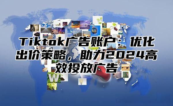 Tiktok广告账户：优化出价策略，助力2025高效投放广告