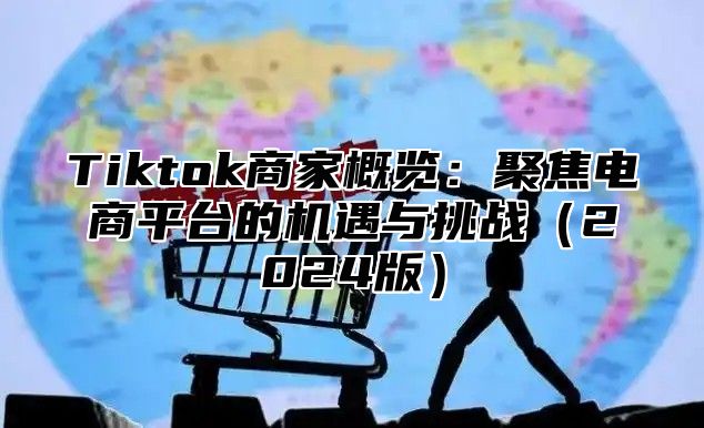 Tiktok商家概览：聚焦电商平台的机遇与挑战2025版