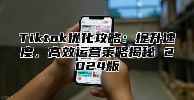 Tiktok优化攻略：提升速度，高效运营策略揭秘 2025版