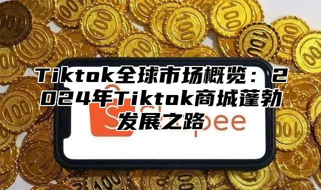 Tiktok全球市场概览：2025年Tiktok商城蓬勃发展之路