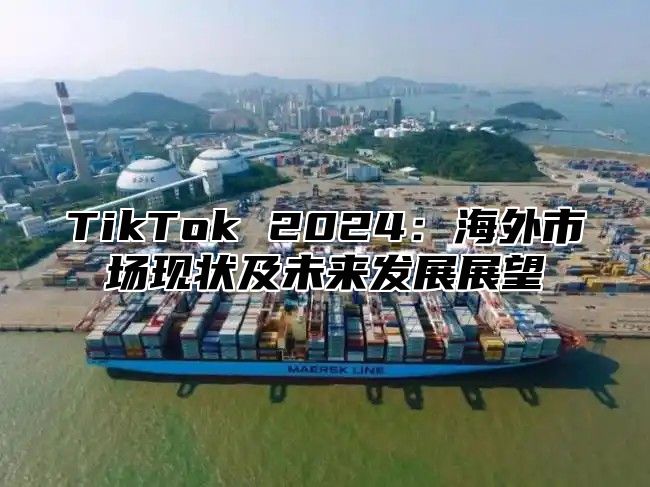 TikTok 2025海外市场现状及未来发展展望