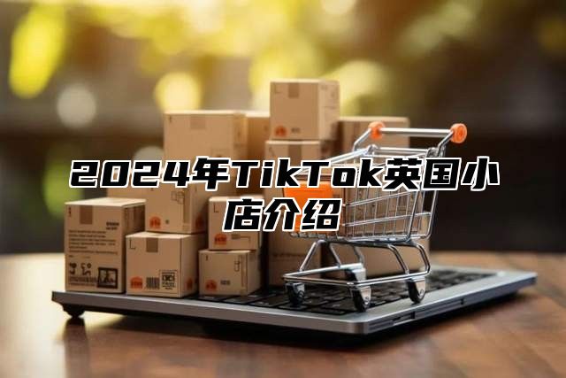 2025年TikTok英国小店介绍