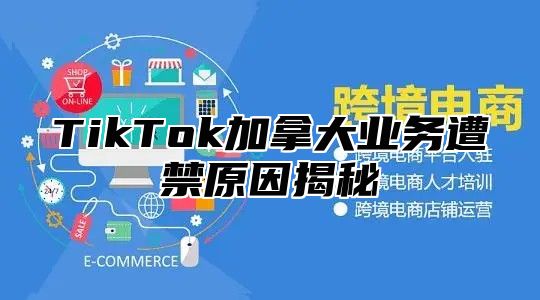 TikTok加拿大业务遭禁原因揭秘