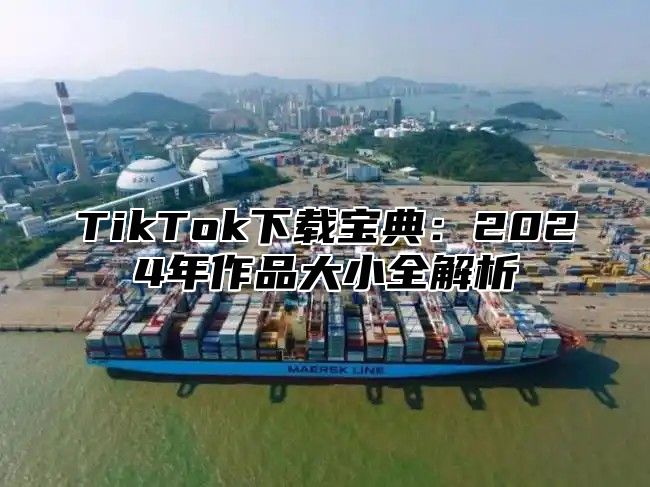 TikTok下载宝典：2025年作品大小全解析