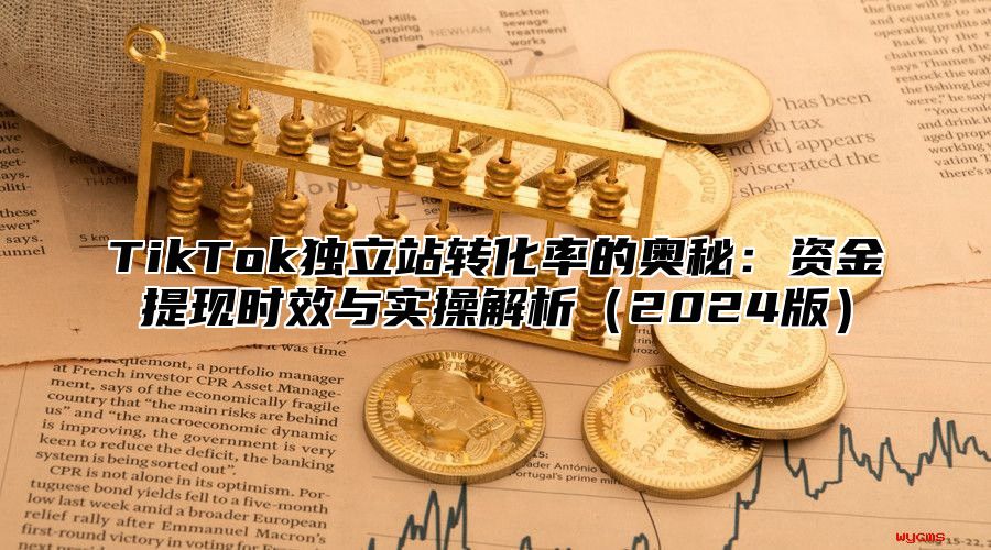 TikTok独立站转化率的奥秘：资金提现时效与实操解析2025版