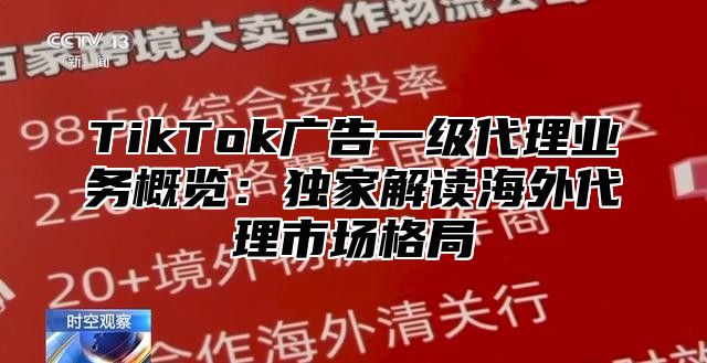TikTok广告一级代理业务概览：独家解读海外代理市场格局